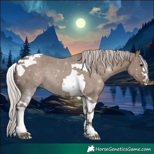 Horse Color:Silver Grullo Tobiano 