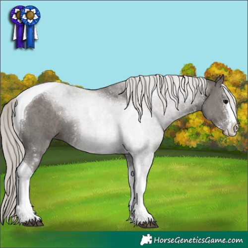 Horse Color:Silver Black Sabino Tobiano 
