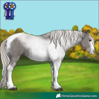 Horse Color:Silver Black Sabino Tobiano