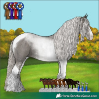 Horse Color:Silver Black Sabino Tobiano