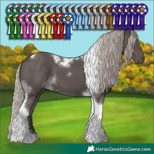 Horse Color:Silver Black Tobiano 