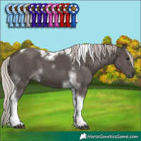 Horse Color:Silver Black Tobiano 
