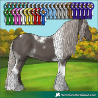 Horse Color:Silver Black Tobiano 