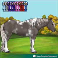 Horse Color:Silver Black Tobiano