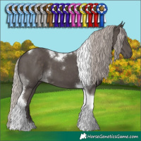 Horse Color:Silver Black Tobiano 