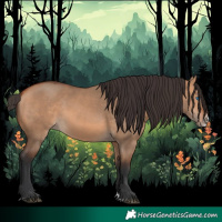 Horse Color:Bay Dun Splash Frame