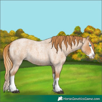 Horse Color:Red Roan Splash 