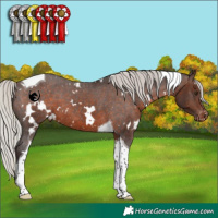 Horse Color:White Spotted Silver Brown Tobiano Varnish 