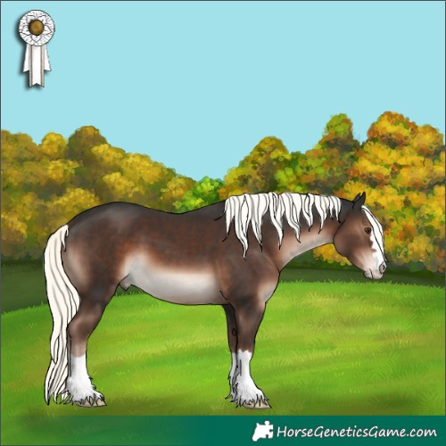 Horse Color:Liver Chestnut Mushroom 