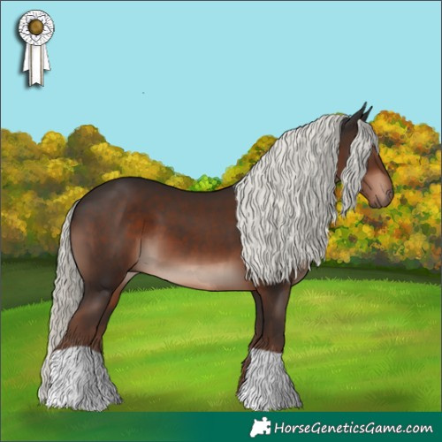 Horse Color:Liver Chestnut Mushroom 