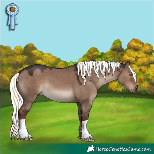 Horse Color:Liver Red Dun Mushroom 