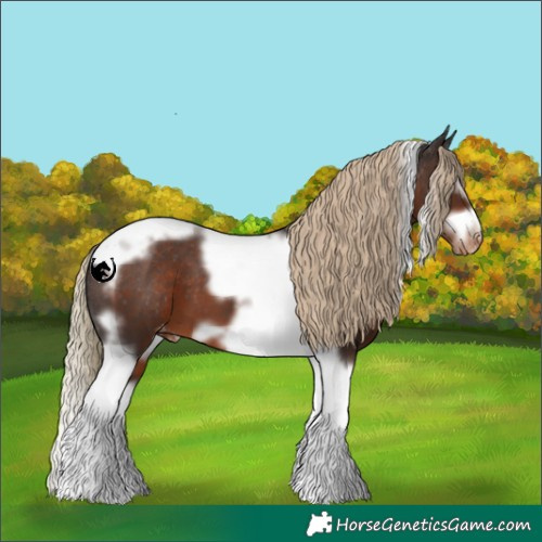 Horse Color:Liver Chestnut Splash Tobiano Frame Varnish