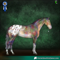 Horse Color:Nacre Buckskin Dun Sabino Tobiano Blanket Brindle 