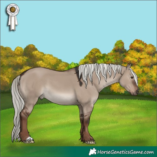 Horse Color:Liver Red Dun Mushroom 