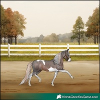 Horse Color:Liver Chestnut Mushroom Splash Tobiano Varnish 