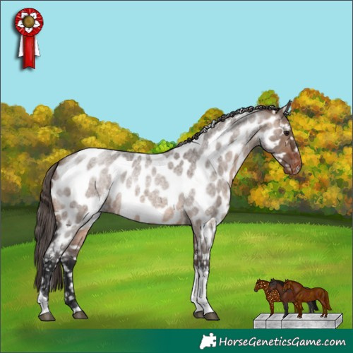 Horse Color:Brown Roan Dun Tobiano Appaloosa Rabicano 