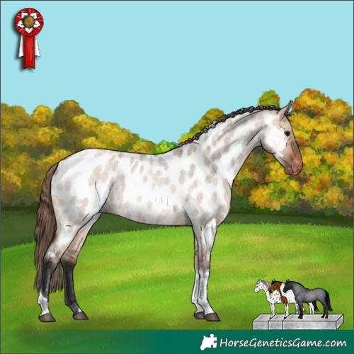 Horse Color:Bay Roan Dun Tobiano Appaloosa Rabicano 