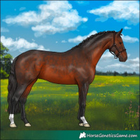 Horse Color:Brown 