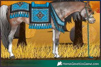 Horse Color:White Spotted Bay Roan Frame 