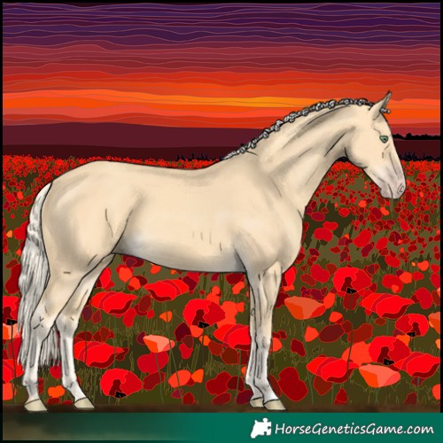 Horse Color:Gold Cream Champagne