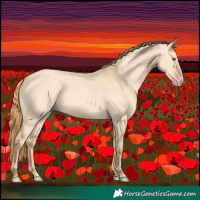 Horse Color:Gold Champagne Dun 