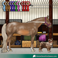 Horse Color:Chocolate Palomino 