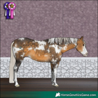 Horse Color:White Spotted Silver Buckskin Sabino 