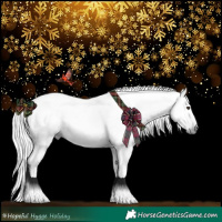 Horse Color:Gray Liver Chestnut