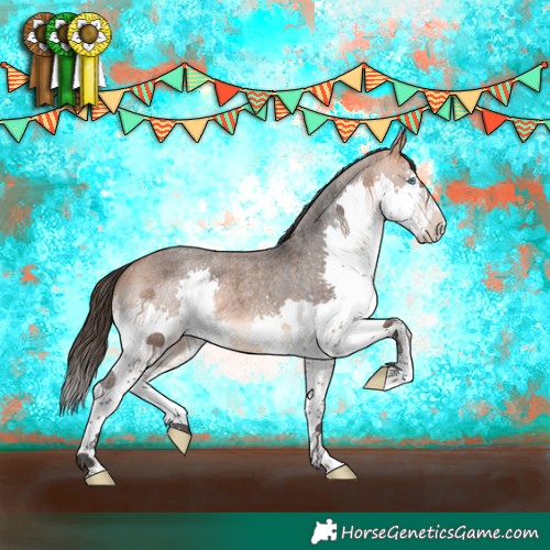 Horse Color:Bay Roan Splash 