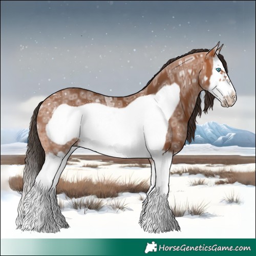 Horse Color:Bay Ice Splash Frame 