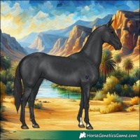 Horse Color:Black 