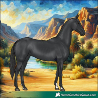 Horse Color:Black 