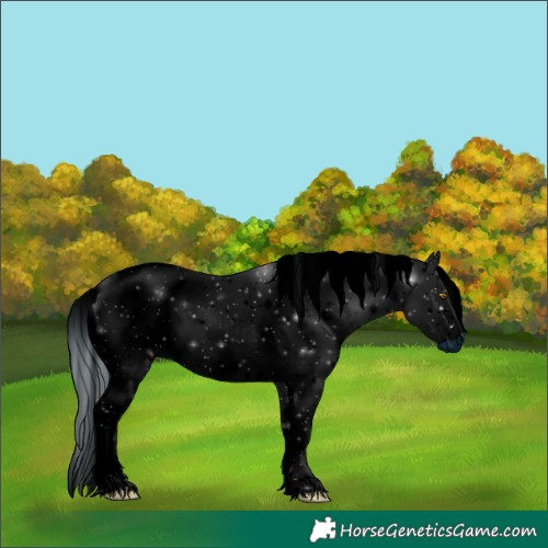 Horse Color:ERROR: UNKNOWN ANOMALY