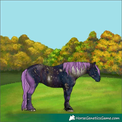 Horse Color:ERROR: UNKNOWN ANOMALY
