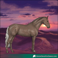 Horse Color:Silver Black Rabicano 