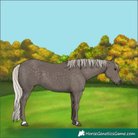 Horse Color:Silver Black 
