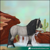 Horse Color:Grullo Roan 