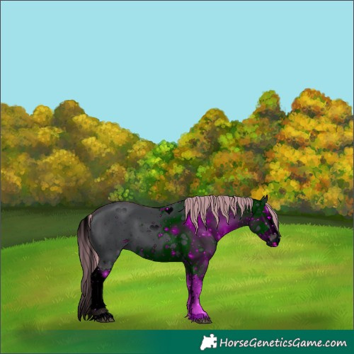 Horse Color:ERROR: UNKNOWN ANOMALY