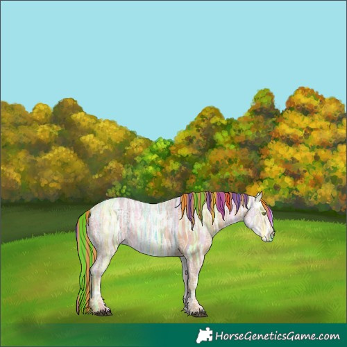 Horse Color:Painted Chestnut Ice Rabicano