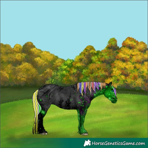 Horse Color:ERROR: UNKNOWN ANOMALY