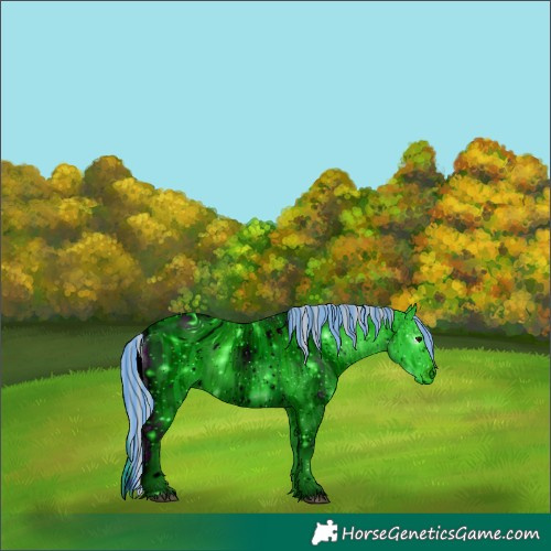 Horse Color:ERROR: UNKNOWN ANOMALY