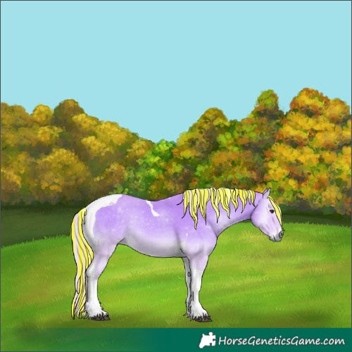 Horse Color:Painted Watercolor Palomino Onyx Tobiano 