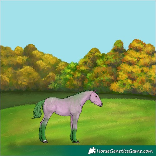 Horse Color:Watercolor Buckskin Dun 