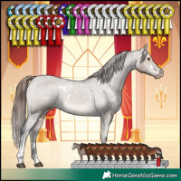 Horse Color:White Spotted Brown Dun Tobiano Appaloosa Rabicano