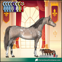 Horse Color:White Spotted Brown Dun Tobiano Appaloosa Rabicano