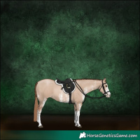 Horse Color:White Spotted Grullo Pearl 