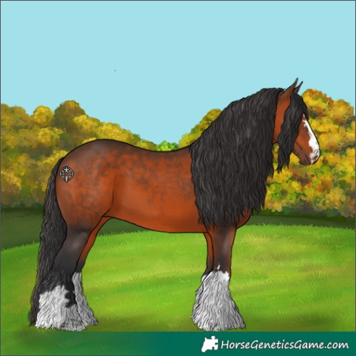 Horse Color:Brown 