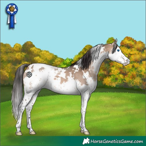 Horse Color:White Spotted Brown Dun Splash Tobiano 