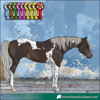 Horse Color:Silver Brown Tobiano 