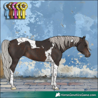 Horse Color:Silver Brown Tobiano 